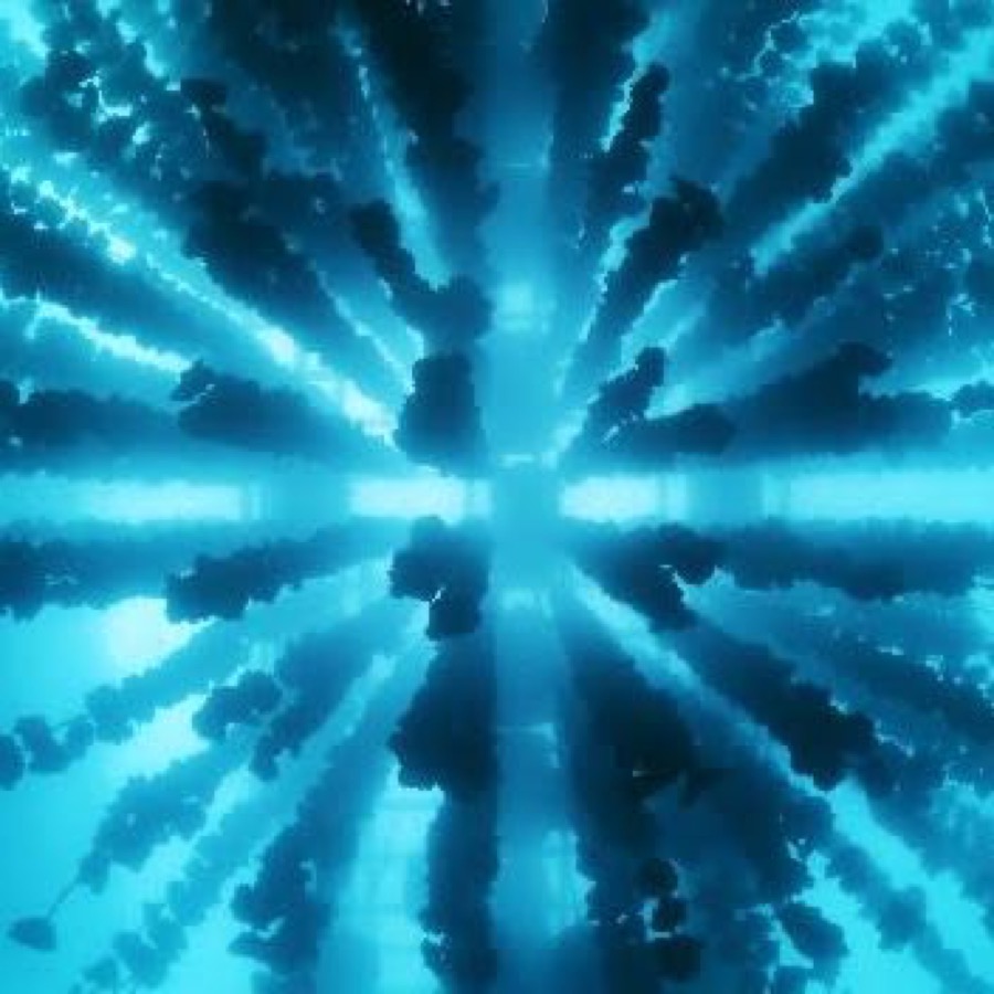 牡蠣筏を海底から眺める。人の暮らしが近くにある景色のひとつ。